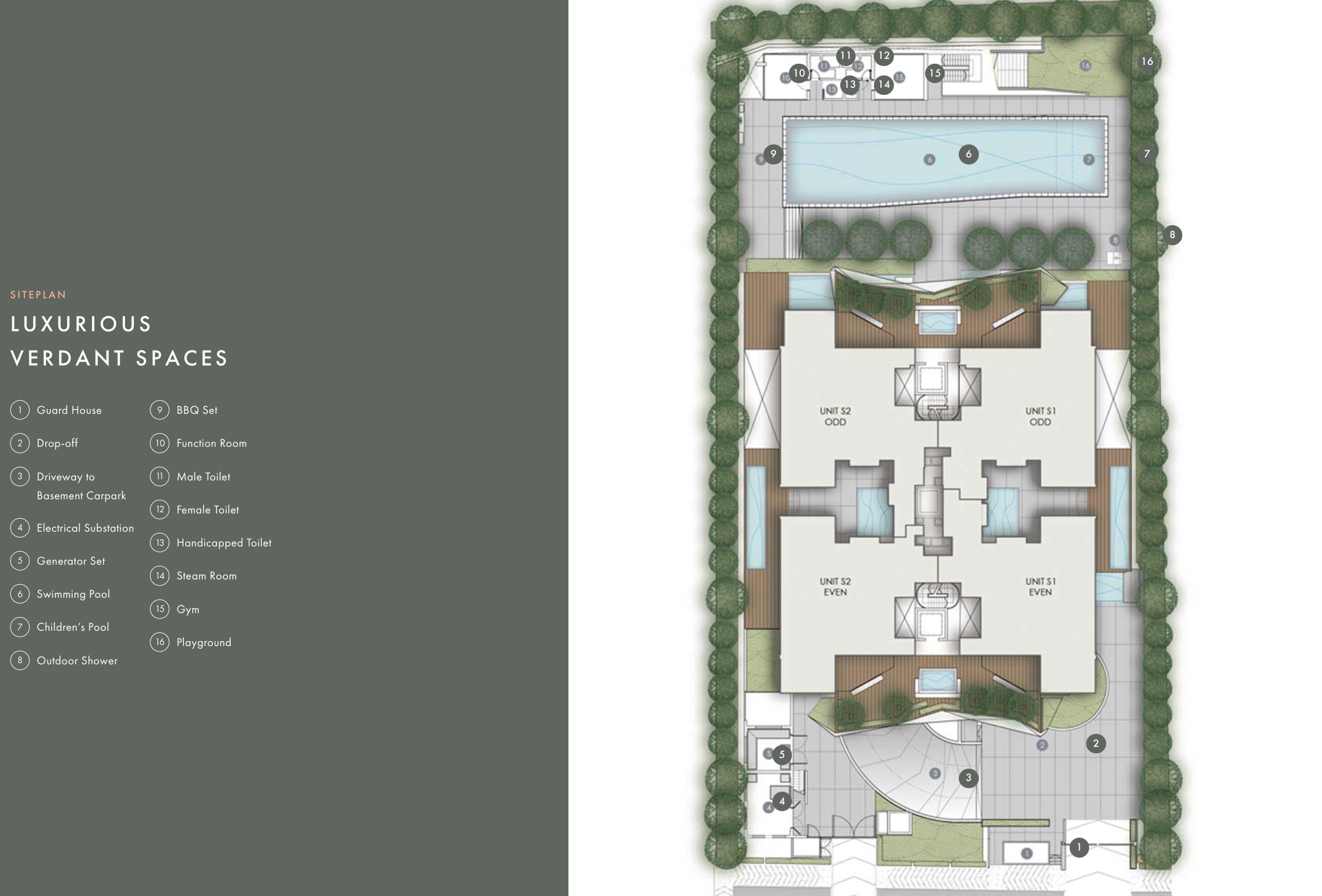 The Oliv @ Balmoral Site Plan